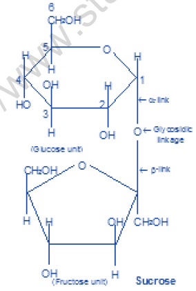 NEET Chemistry Biomolecules Revision Notes Reaction6