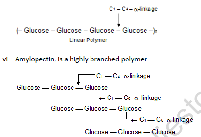 NEET Chemistry Biomolecules Revision Notes Reaction7