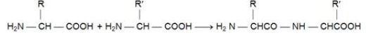 NEET Chemistry Biomolecules Revision Notes Reaction8