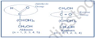 NEET Chemistry Biomolecules Revision Notes