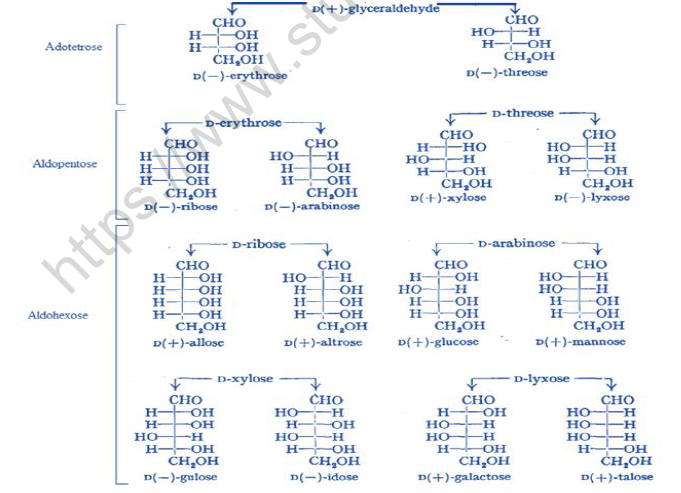 NEET Chemistry Biomolecules Revision Notes1