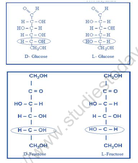NEET Chemistry Biomolecules Revision Notes2