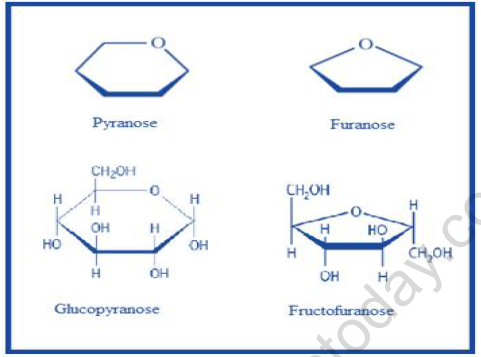 NEET Chemistry Biomolecules Revision Notes4