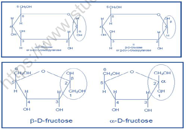 NEET Chemistry Biomolecules Revision Notes5