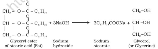 NEET Chemistry Chemistry in Action Revision Notes-2