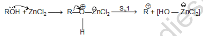 NEET Chemistry Halogen Derivatives of Organic Compounds Revision Notes