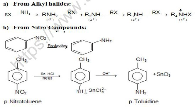 NEET Chemistry Nitroalkanes Amines and Diazonium Salts Revision Notes1