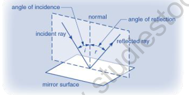 NEET Physics Ray Optics Revision Notes