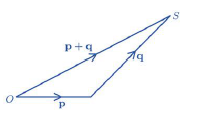 NEET Physics Scalars and Vectors Revision Notes