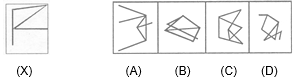 NTSE MAT Embedded Figure4