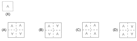 NTSE MAT Paper Folding12