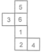 NTSE MENTAL Cube and Dices IMG1