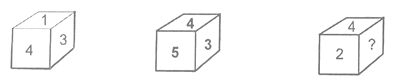 NTSE MENTAL Cube and Dices2