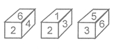 NTSE MENTAL Cube and Dices23