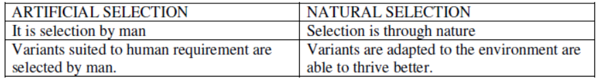 CBSE Class 12 Biology Evolution Worksheet Set C