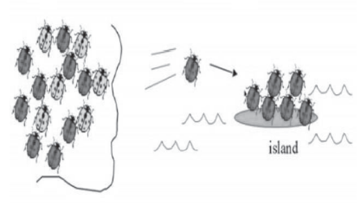 CBSE Class 12 Biology Evolution Worksheet Set C