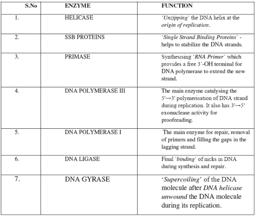 CBSE Class 12 Biology Molecular Basis Of Inheritance Worksheet Set C