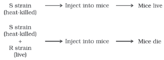 CBSE Class 12 Biology Molecular Basis Of Inheritance Worksheet Set C