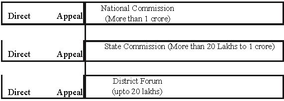 CBSE Class 12 Business Studies Consumer Protection