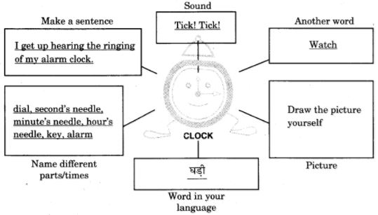 NCERT Solutions