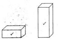 NCERT Solutions