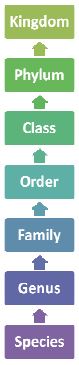 NCERT Solutions