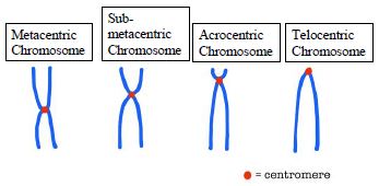 NCERT Solutions