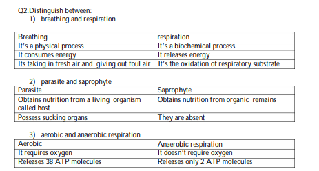 CBSE Class 10 Biology Life Processes Notes (1)