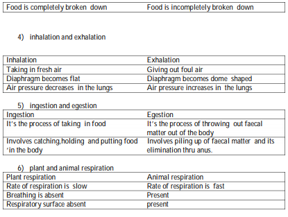 Class 10 Biology Life Processes Notes (1)