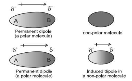 Class_11_Chemistry-States_of_Matter