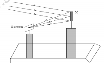 class_10_science_mcq_02