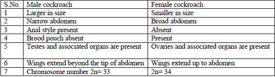 class_11_Biology_3