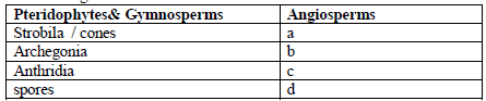 class_11_biology_1