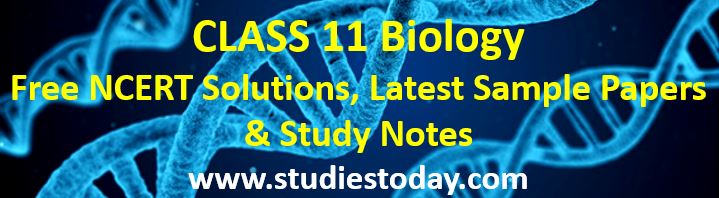 class_11_biology_notes_ncert_solutions.JPG