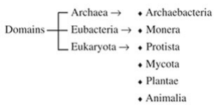 class_11_chemistry_concept_6