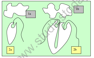 class_12_bio_hot_3