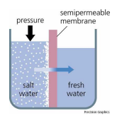 class_12_chemistry_vbq_1