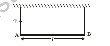 class_12_physics_useful_0169