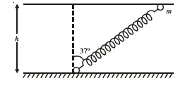 class_12_physics_useful_0251