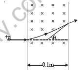 class_12_physics_useful_085