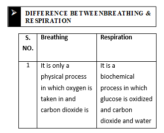 class_7_science_useful_1