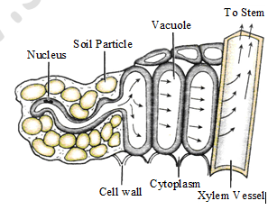 class_7_science_useful_3