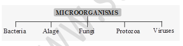 class_8_science_useful_10