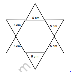 class_9_mcq_01